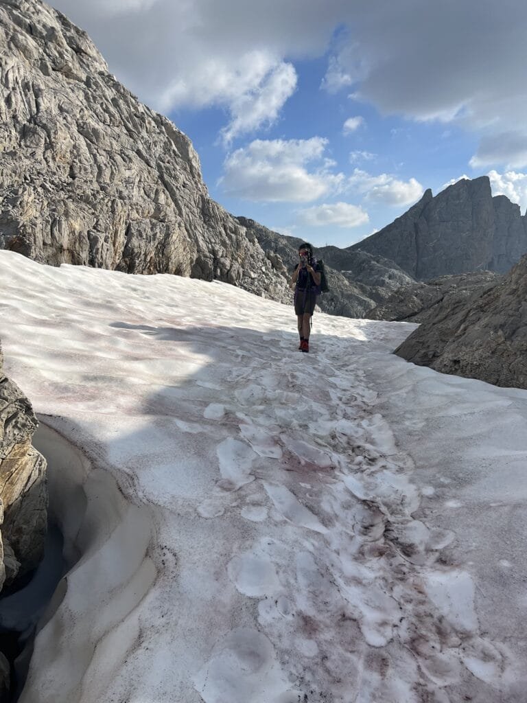 Nieve