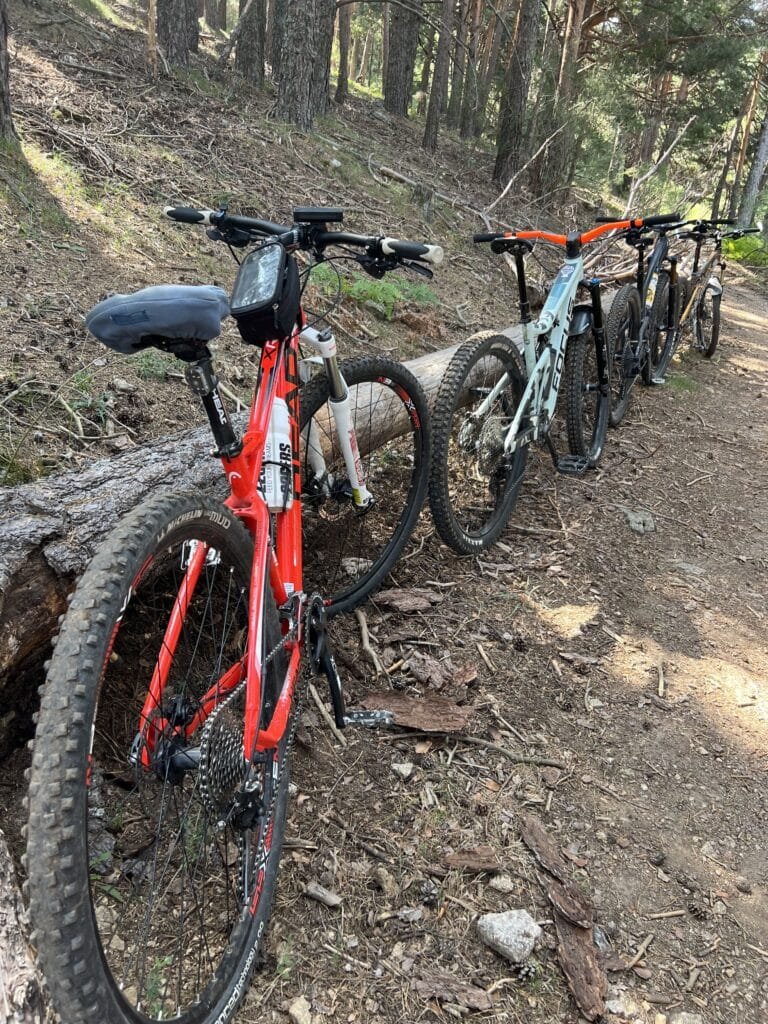 Bicis de montaña
