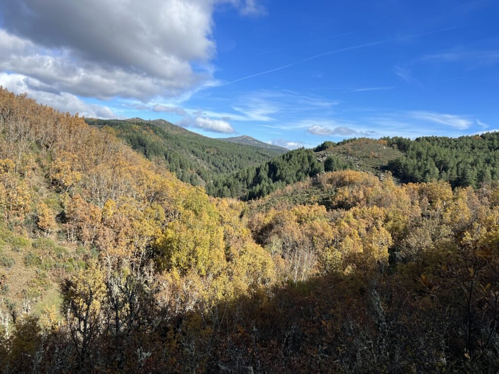 Por los Bosques de La Hiruela